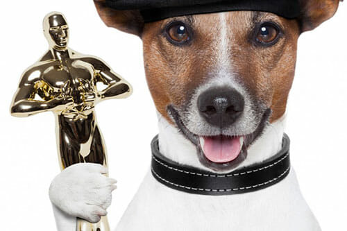 Microsoft przepowiada przyszłość