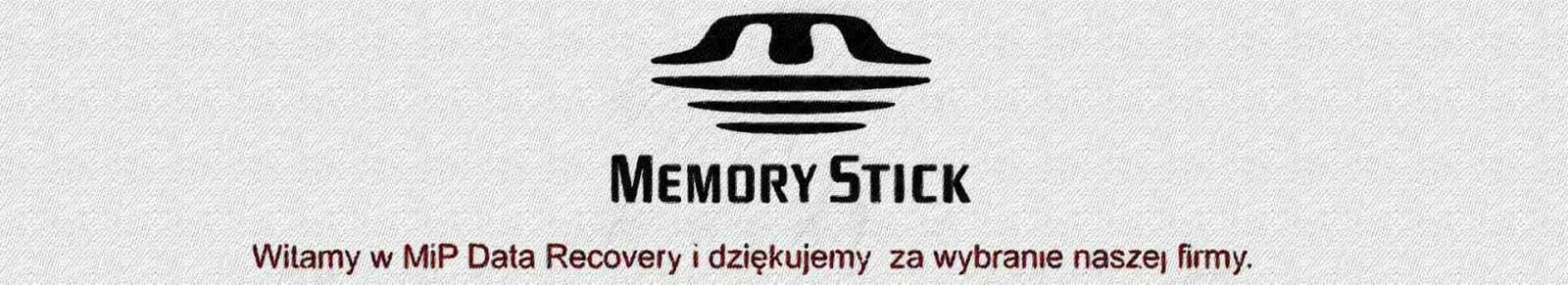 Memory Stick