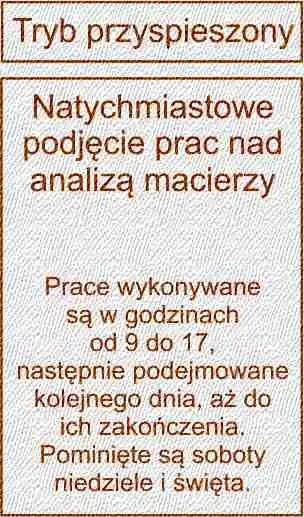 tryb przyspieszony-A-304x517