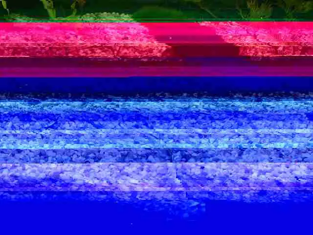 foto po odzyskaniu z uszkodzonego systemu plików 2