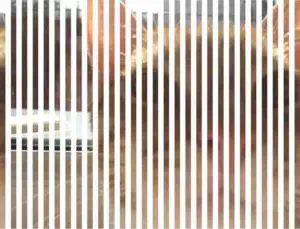 Odzyskiwanie zdjęć - uszkodzone foto 2